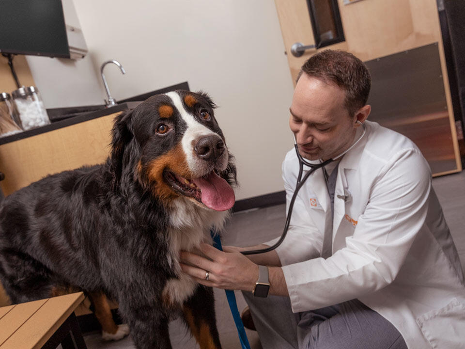 Banfield Pet Hospital photo 3