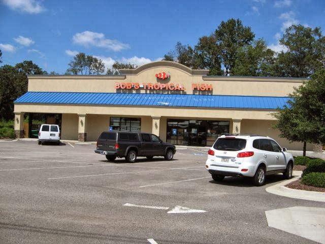 Bob's Tropical Fish in Augusta, GA