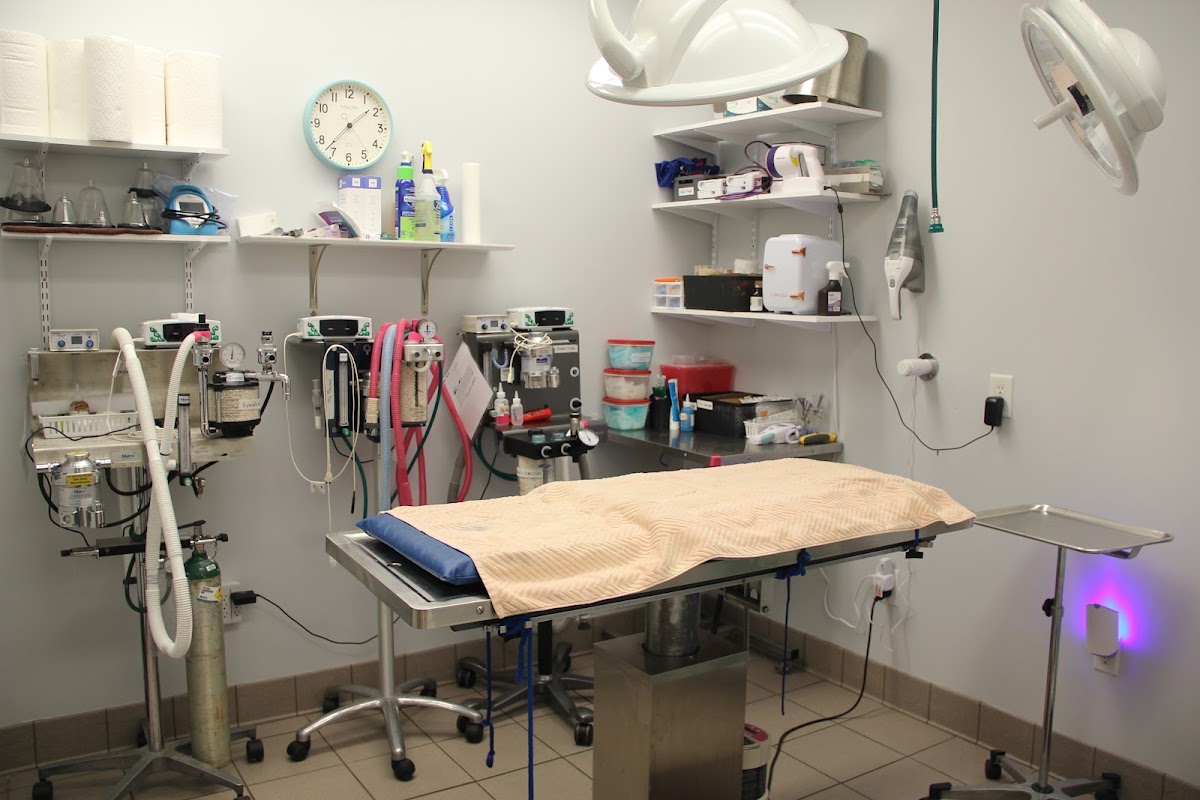 Care More Animal Hospital - Veterinary & Pets in Augusta, GA