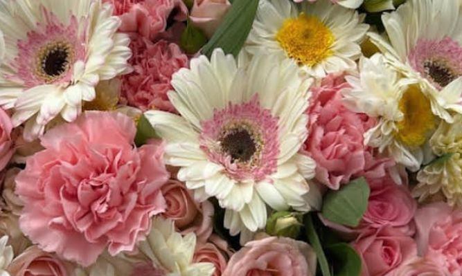 Central Avenue Flowers photo 5