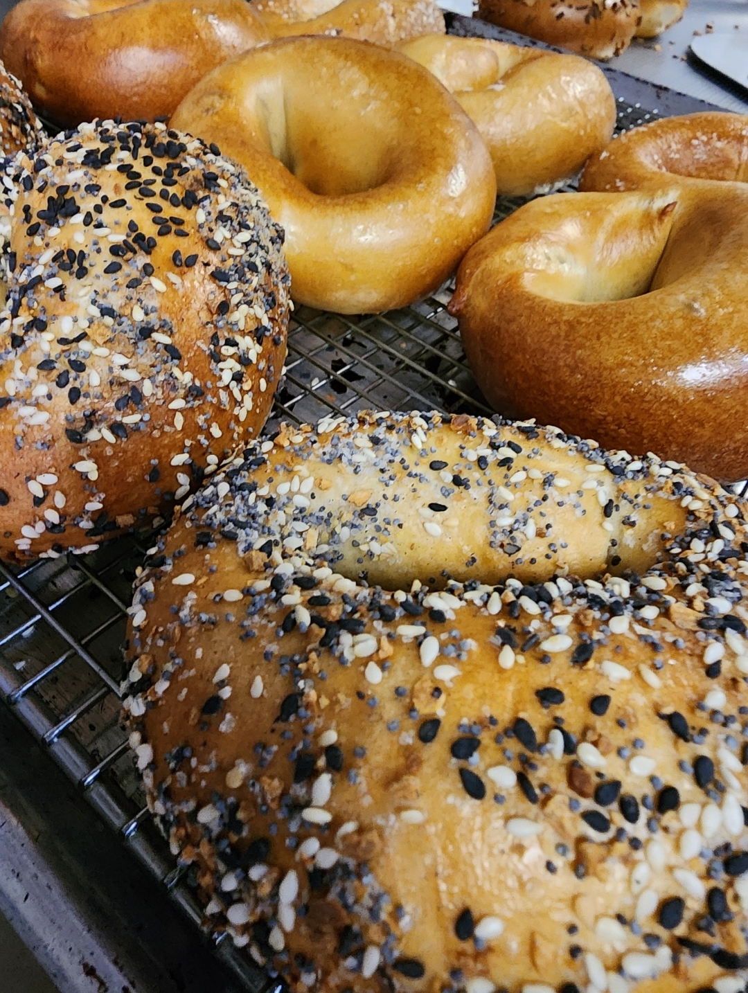 Elemy's Bagels photo 2