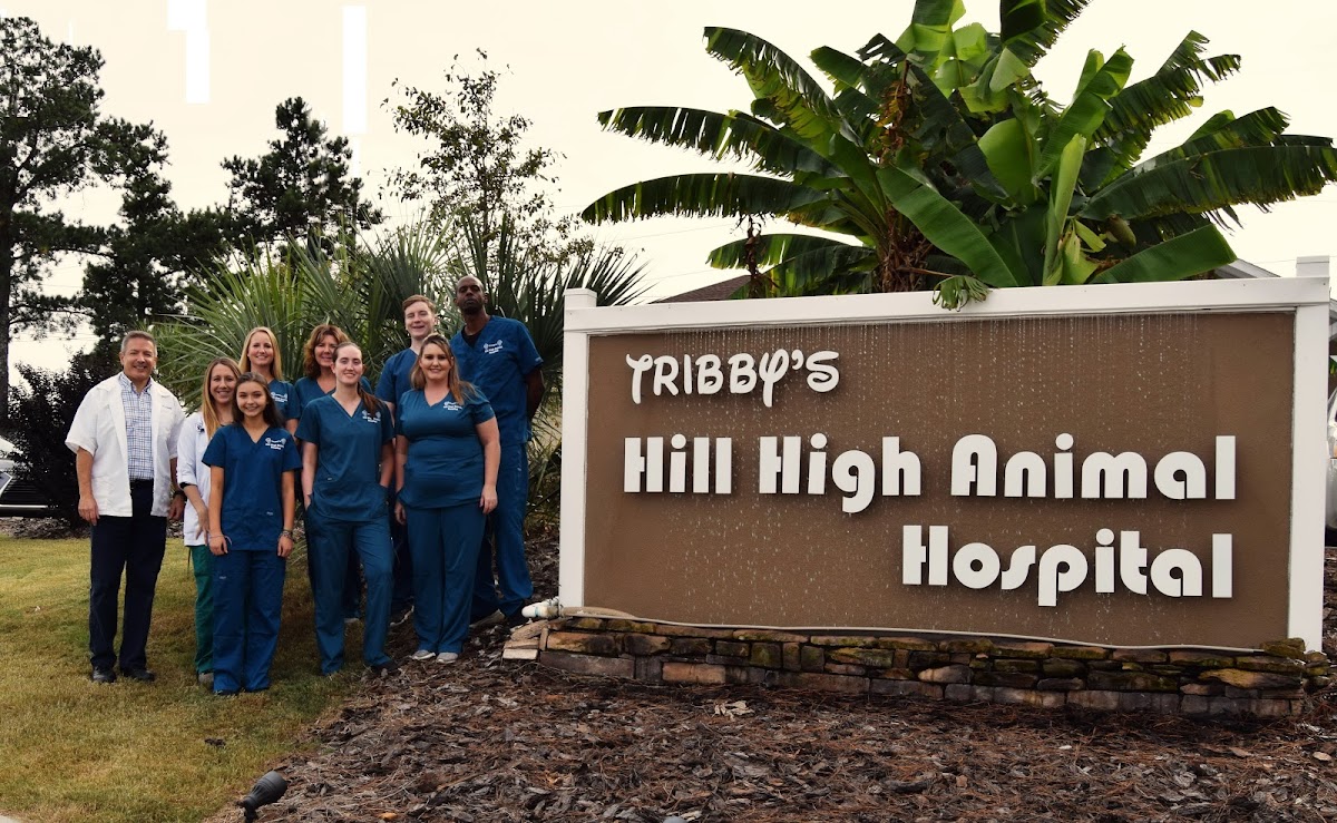 Hill High Animal Hospital - Veterinary & Pets in Augusta, GA