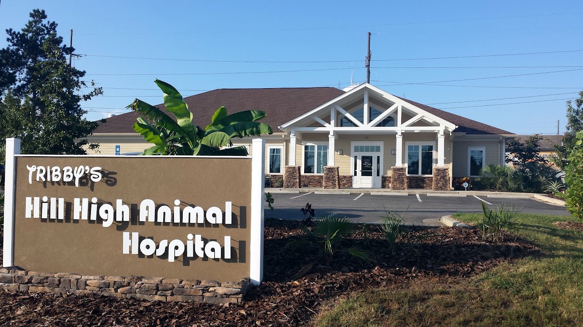 Hill High Animal Hospital photo 2
