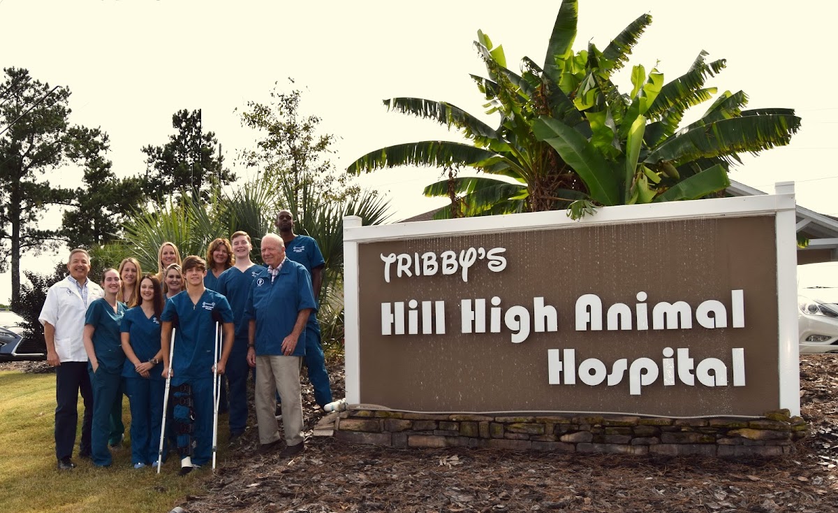 Hill High Animal Hospital photo 4