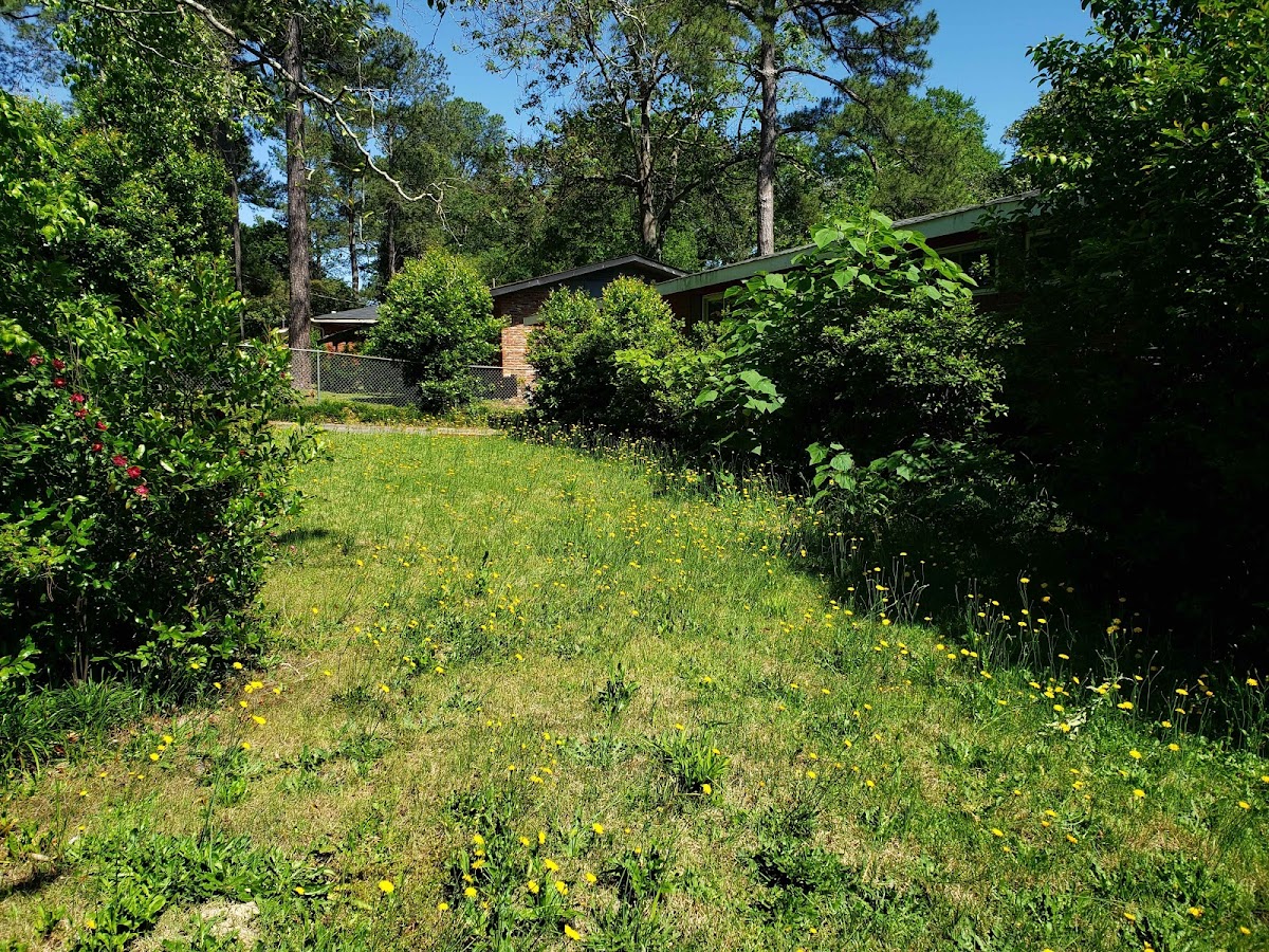 Let Us Give You A Hand Landscaping photo 5