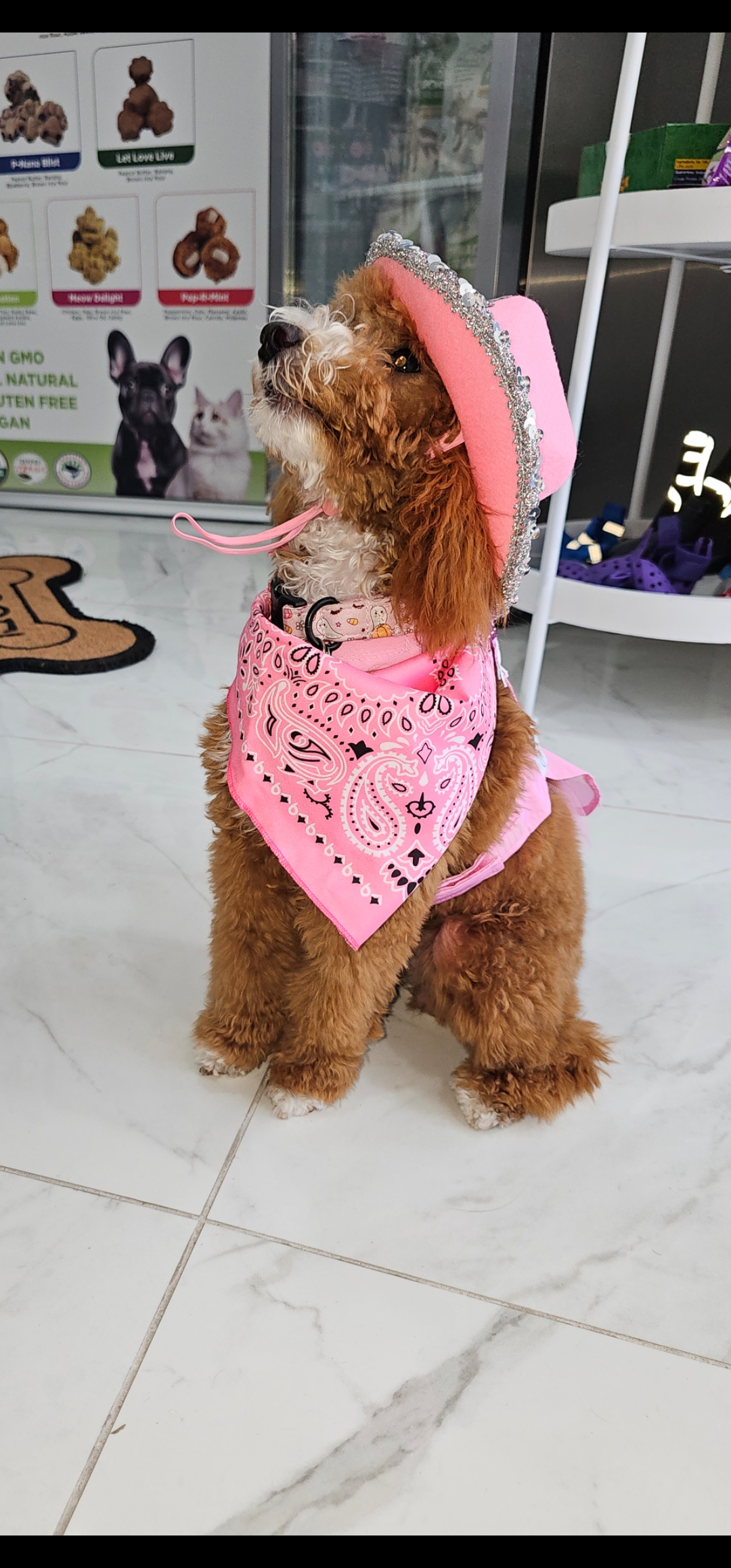Nieci's Green Bites Pet Boutique & Spa photo 3