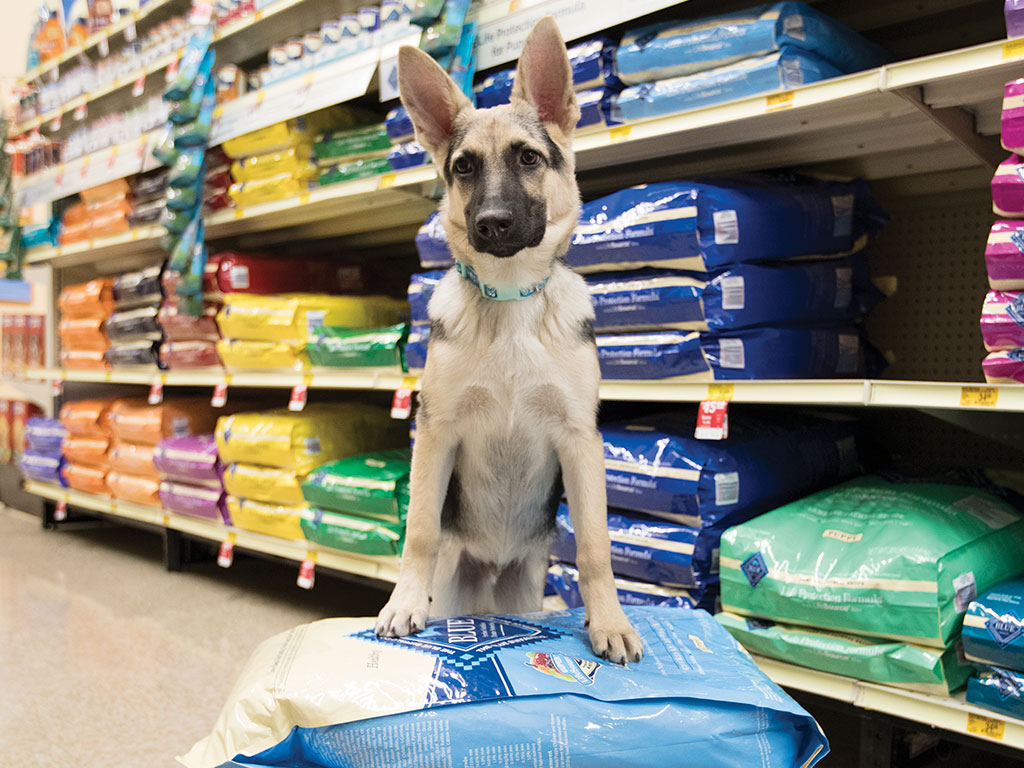 PetSmart photo 5