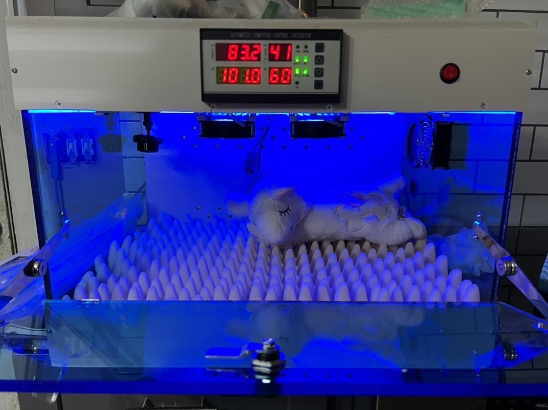 Puppy Safe Incubator photo 5