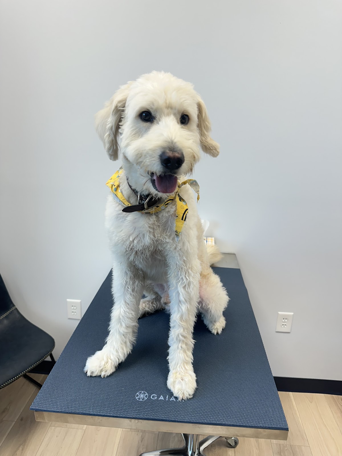 Riverfront Vet photo 5