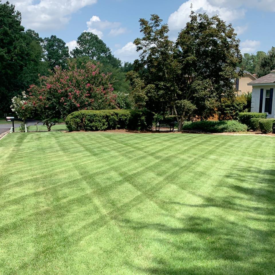 scapegoat landscaping LLC - Services in Augusta, GA