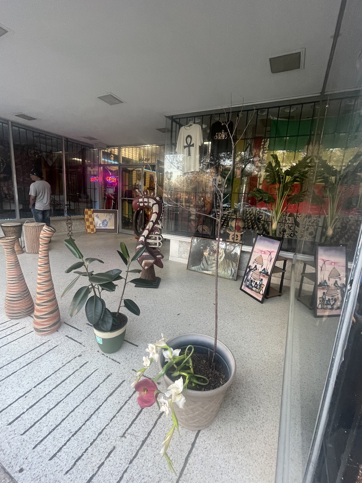 Sirius Sage Spiritual & Cultural Shop photo 2
