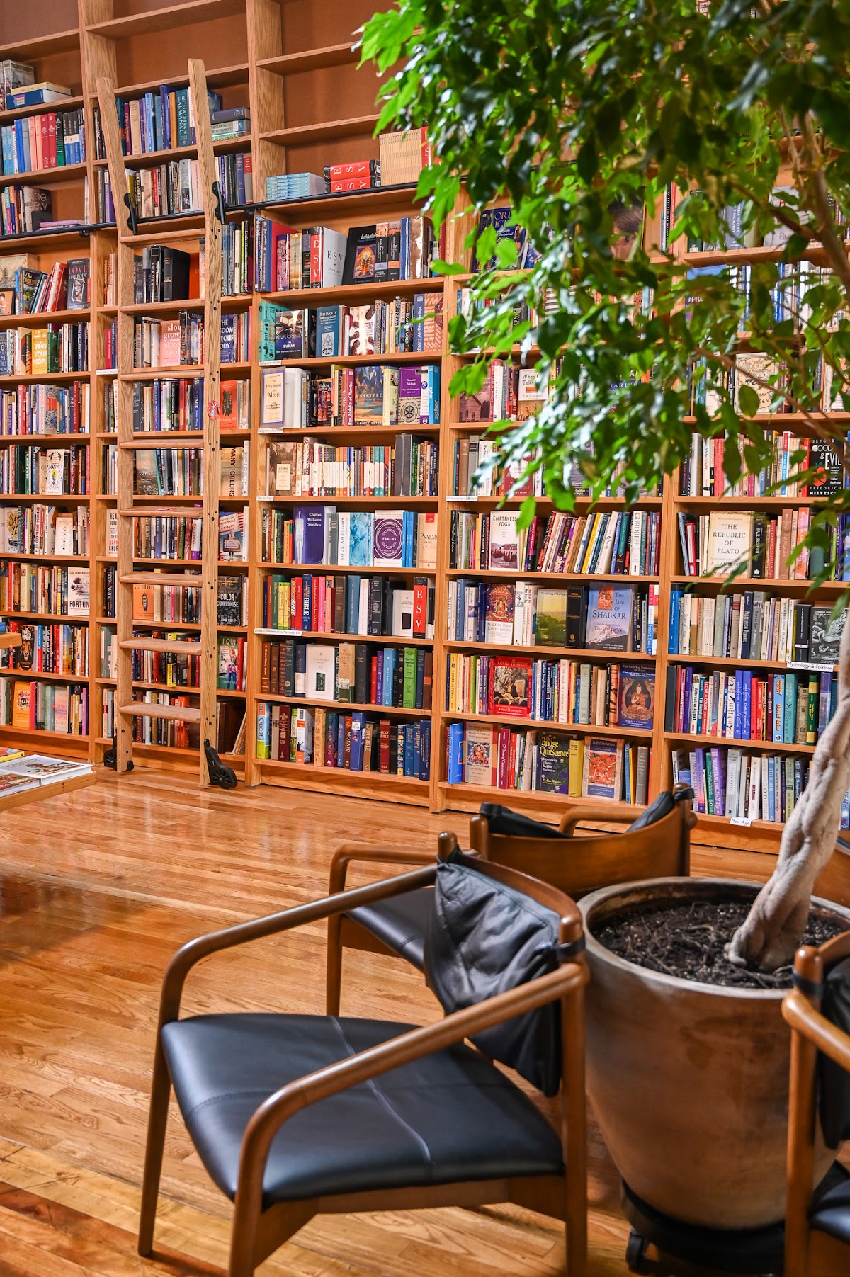 The Book Tavern photo 4
