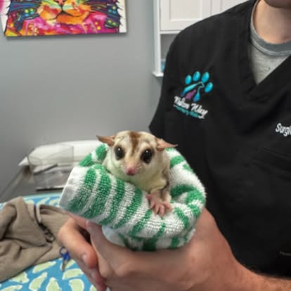 Walton Way Veterinary Clinic photo 5